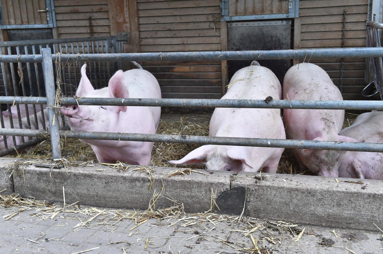 Der Schultenhof Wohnen & Arbeiten für Menschen mit Behinderungen